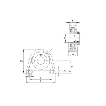 PSHEY15 INA Bearing Units