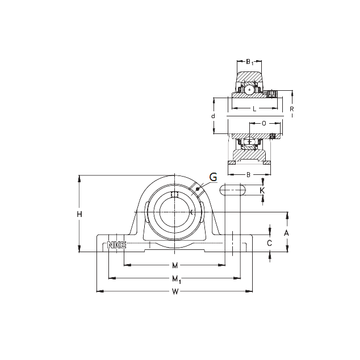 PASEY45 NKE Bearing Units