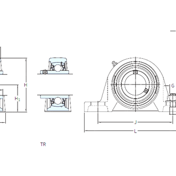 SY 50 TF SKF Bearing Units