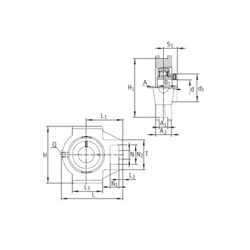 PTUE55 INA Bearing Units