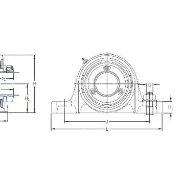 SY 25 PF SKF Bearing Units