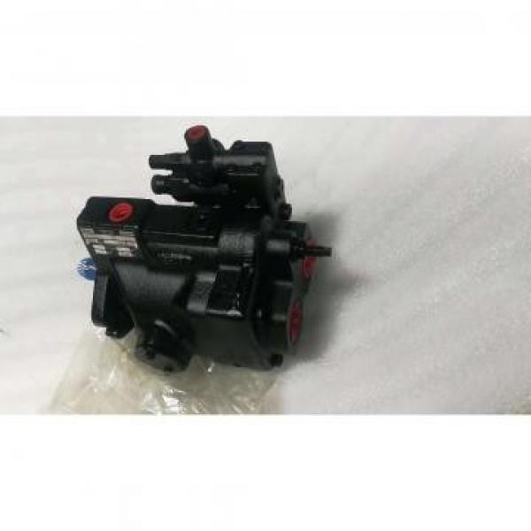 PV29-2R1D-J02 DENISON PV29 series Piston Pump #1 image